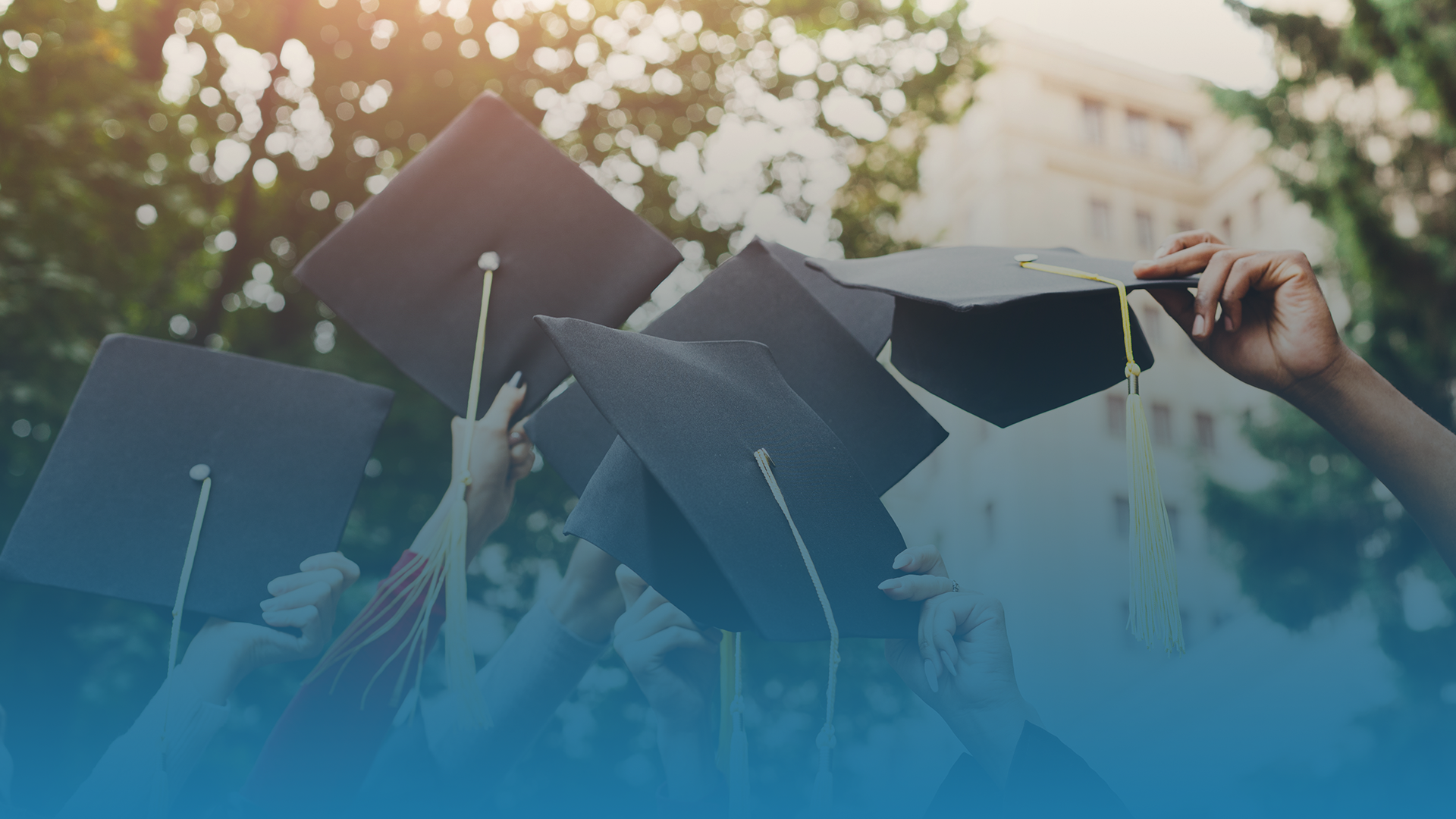 Cover image of graduation caps in the air